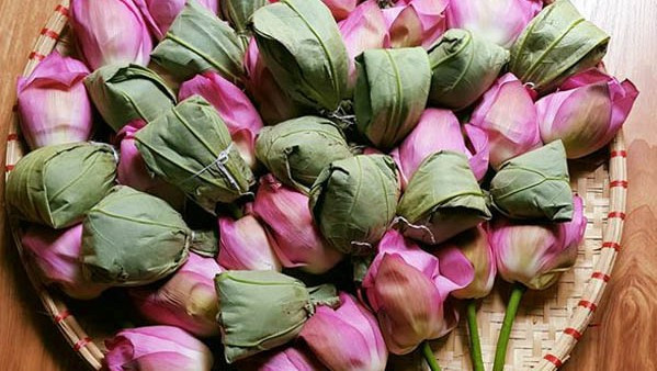 Tùng Tây Hồ - Trà Ướp Hoa Sen - An Dương Vương