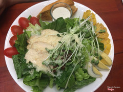 Salad caesar
