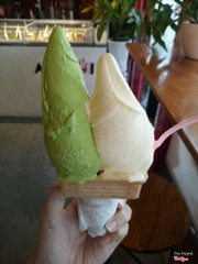 Matcha và Xoài 