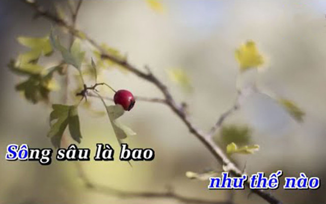 Hoàng Linh Karaoke