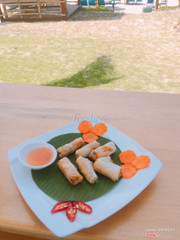 Dolphin spring roll