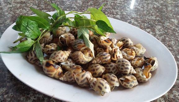 Ốc Hương Hoàng Kim