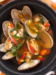 ngêu cũng mập mạp