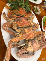 này ở ngoài nó bự hơn á, gẹ cũng chắc thịt lắm. tính ra nhóm 4 người ăn 4 con này đủ phê rồi mà do mình ko hình dung hết nên gọi thêm các món khác, thành ra ko thử món tôm sống kiểu thái được vì quá no