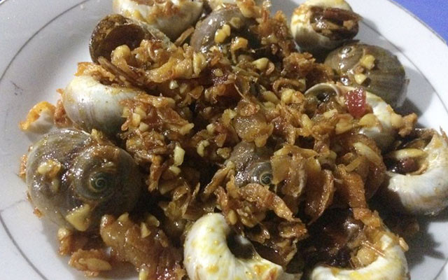 Ốc Bầu 
