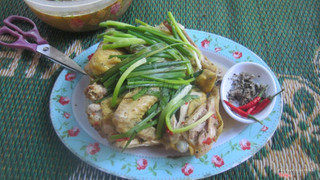 gà hấp hành