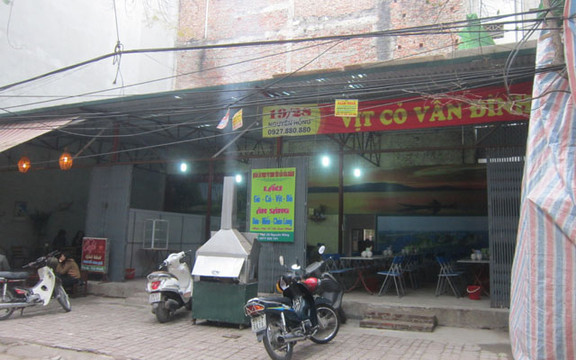 Vịt Cỏ Vân Đình - Nguyên Hồng