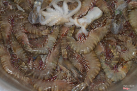 Tôm và mực tươi 