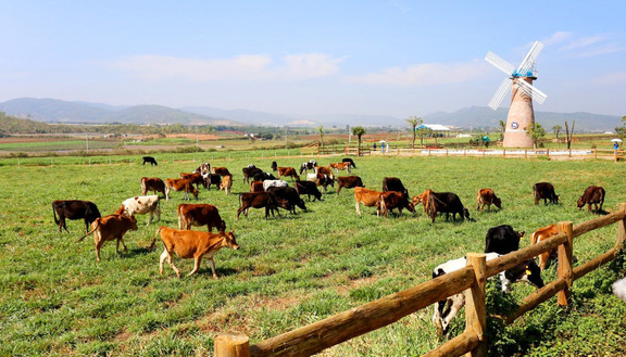 Vinamilk Organic Farm Đà Lạt