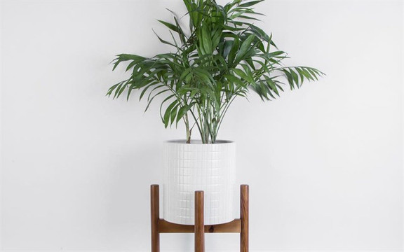 Anywhere Design - Hàng Trống