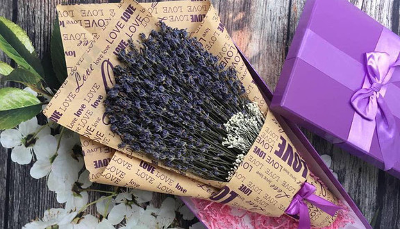 Thiên Đường Hoa Oải Hương