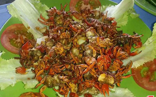 Cánh Đồng Sen - Câu Cá Giải Trí 