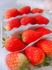 Korean Strawberries