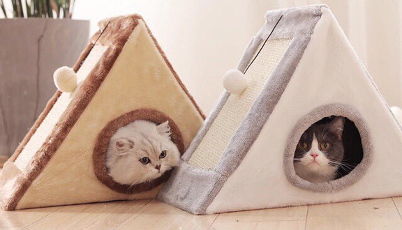 Kho Pet Shop