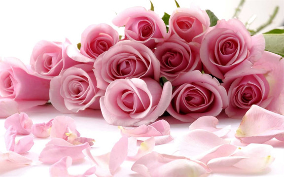 Cửa Hàng Hoa Minh Tâm - Trần Hưng Đạo