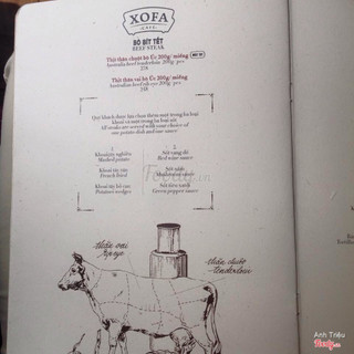 xofa cafe