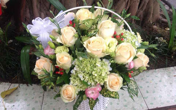 Sun Flowers - Hoa Tươi Nghệ Thuật