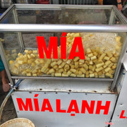 Mía lạnh