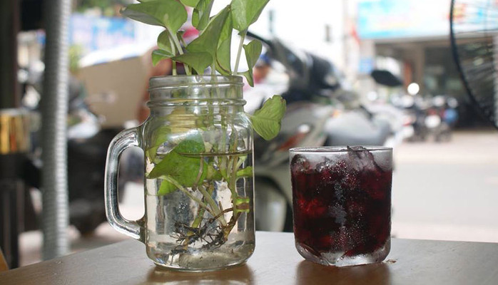 Hà Móm Coffee - Lê Quang Định