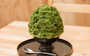 Đ&#225; b&#224;o Matcha