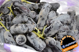 Nho ngón tay không hạt Moondrops - 0909131418