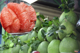 bưởi da xanh