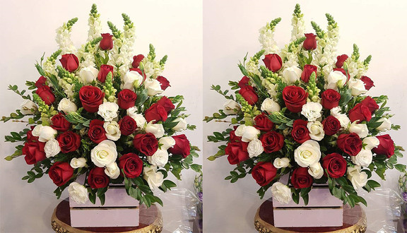 Hoa Tươi Đà Lạt - Shop Online