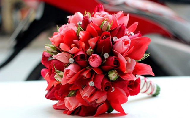 Hoa Tươi Thái Bình - Nam Kỳ Khởi Nghĩa