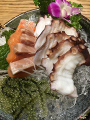 Sashimi cá hồi, bạch tuộc