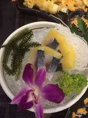 sashimi cá trích ép trứng