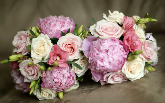 Hoa Tươi Milan - Hoa Lan