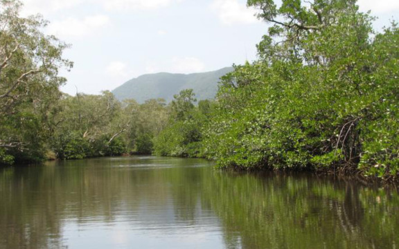 Khu Du Lịch Rạch Tràm