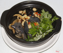 Gả Ác Tiềm Thuốc Bắc