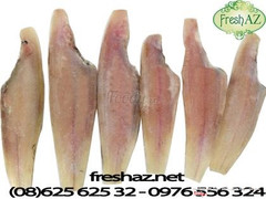 Cá lưỡi trâu 1 nắng
180.000đ/kg