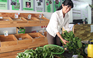 Rau sạch