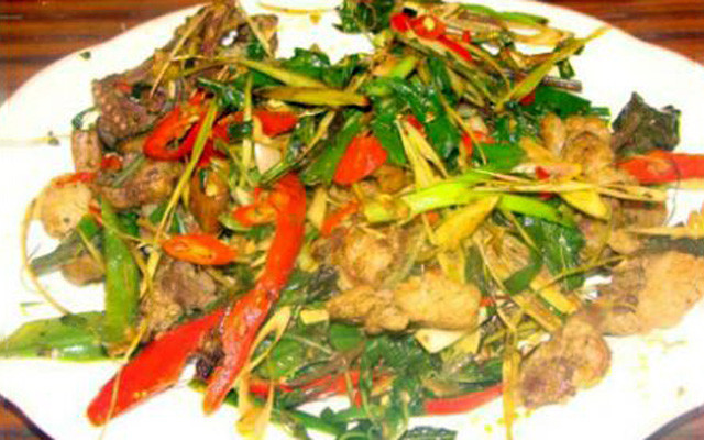 Hải Liên