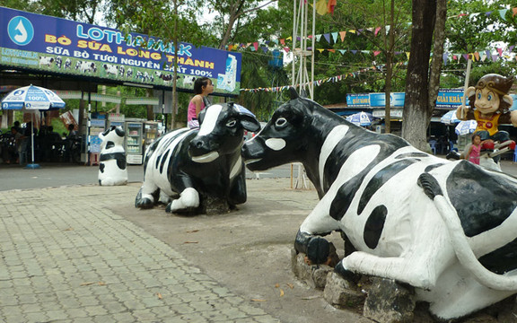 Trạm Dừng Chân Bò Sữa Long Thành