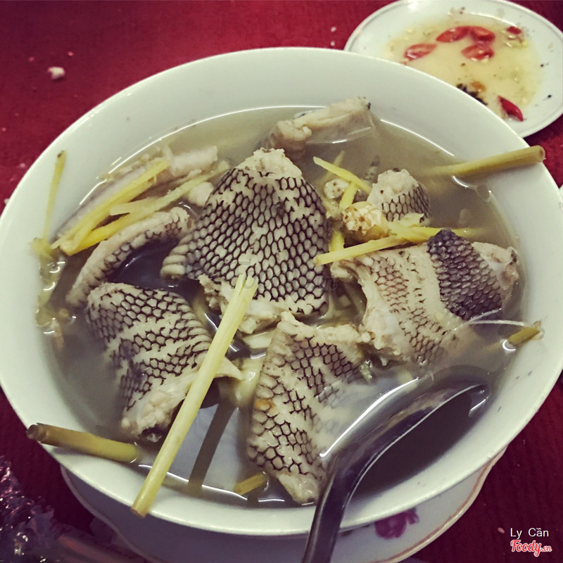 canh rắn