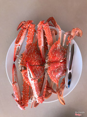 ghẹ rất to, đúng là ghẹ tươi nên thịt ngọt ngon lắm lắm lun ý