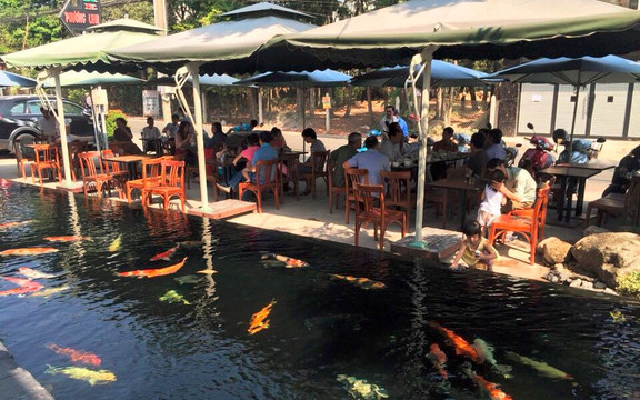 Koi Cafe - Lê Hồng Phong