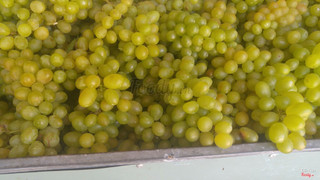 Nho tươi - 35k/kg
