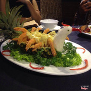 Tôm Phượng Hoàng