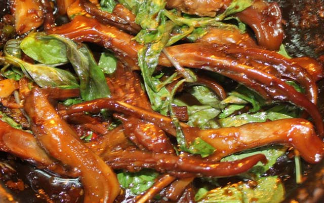 Cây Bàng - Âu Cơ