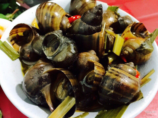 Ốc hấp