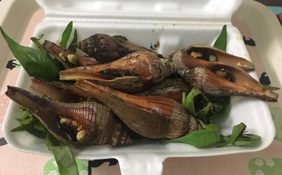 Ốc Đêm