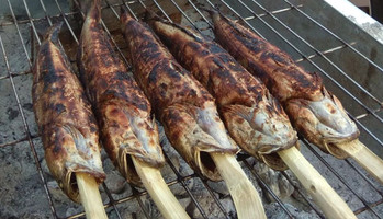 Cá lóc nướng