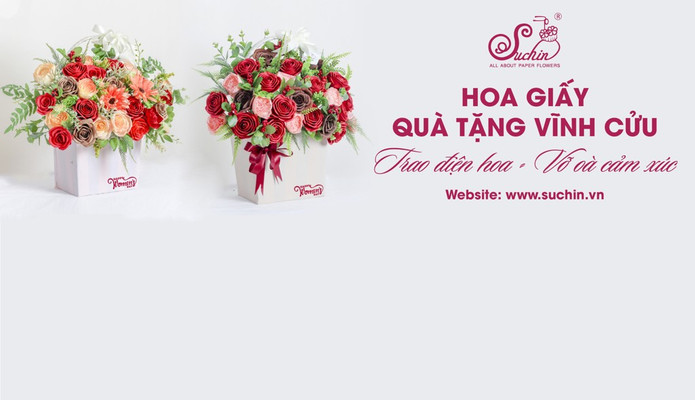 Hoa Giấy Suchin - Tam Trinh