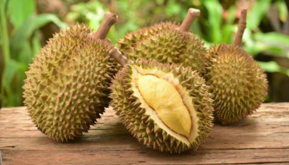 Wow Durian - Lê Thị Riêng