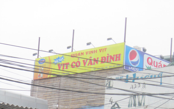 Vinh Vịt - Vịt Cỏ Vân Đình