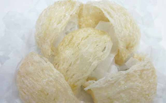 Yến Sào Khánh Hòa - Nguyễn Trãi